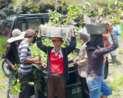 植林作業の風景