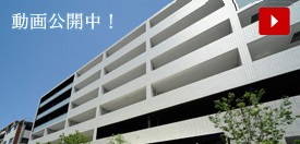 レアシスシリーズ